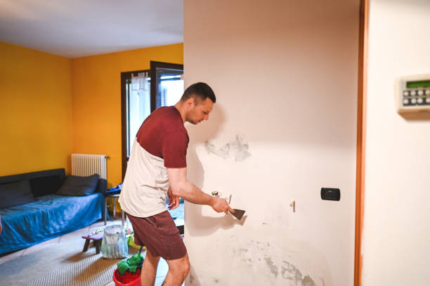 Best Attic Mold Removal  in Three Points, AZ